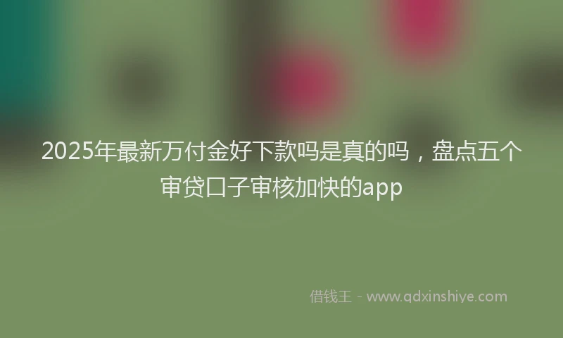 2025年最新万付金好下款吗是真的吗，盘点五个审贷口子审核加快的app