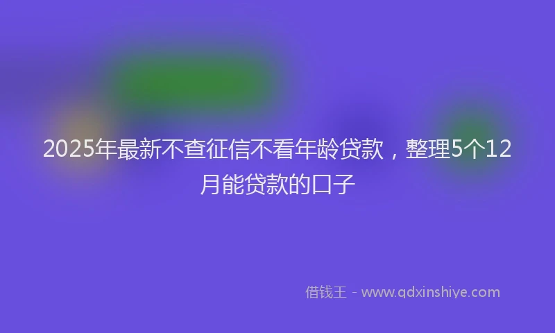 2025年最新不查征信不看年龄贷款，整理5个12月能贷款的口子