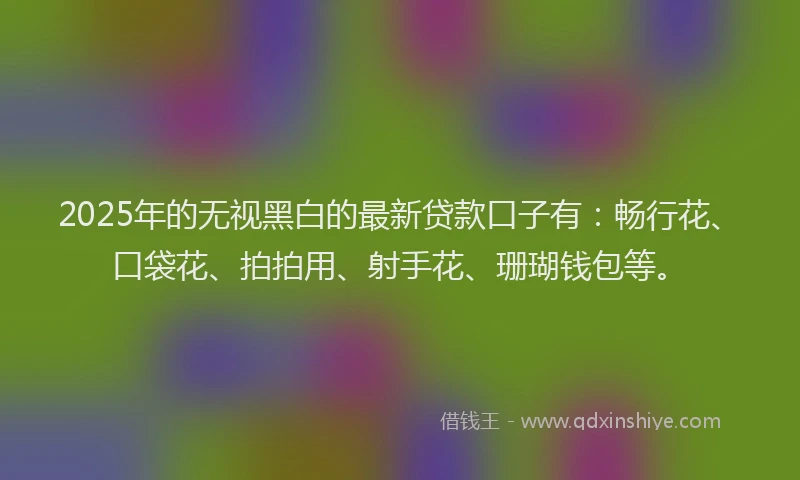 2025年的无视黑白的最新贷款口子有：畅行花、口袋花、拍拍用、射手花、珊瑚钱包等。