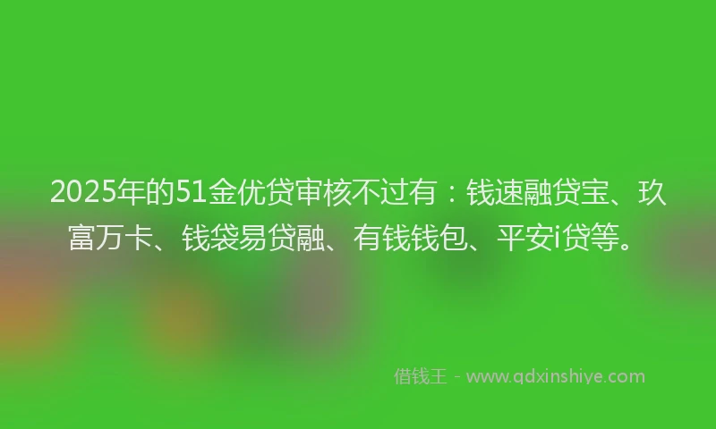 2025年的51金优贷审核不过有：钱速融贷宝、玖富万卡、钱袋易贷融、有钱钱包、平安i贷等。