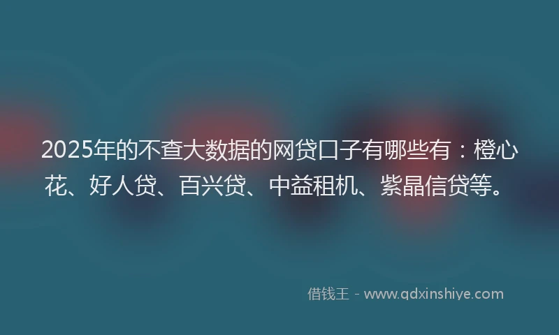 2025年的不查大数据的网贷口子有哪些有：橙心花、好人贷、百兴贷、中益租机、紫晶信贷等。