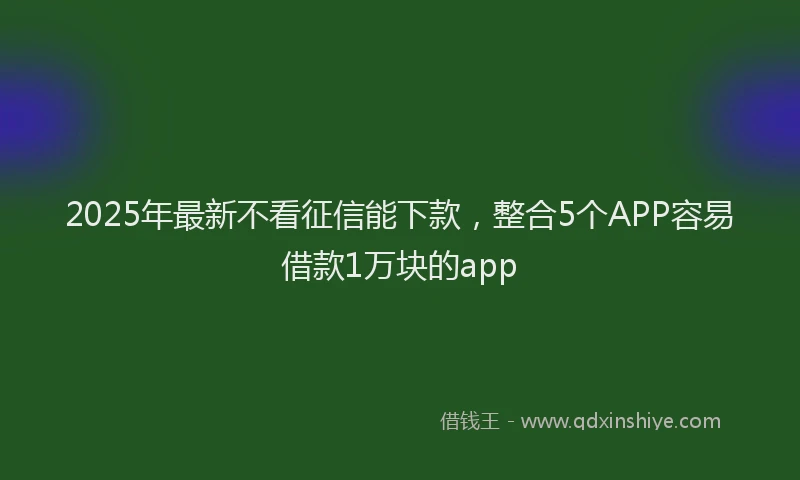 2025年最新不看征信能下款，整合5个APP容易借款1万块的app