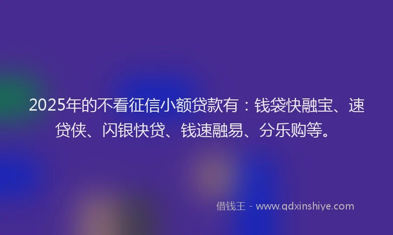 2025年的不看征信小额贷款有：钱袋快融宝、速贷侠、闪银快贷、钱速融易、分乐购等。