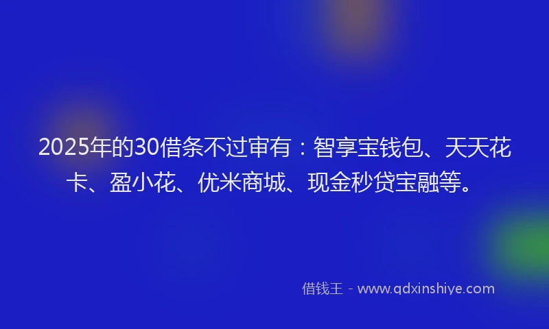 2025年的30借条不过审有：智享宝钱包、天天花卡、盈小花、优米商城、现金秒贷宝融等。