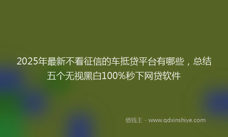 2025年最新不看征信的车抵贷平台有哪些，总结五个无视黑白100%秒下网贷软件