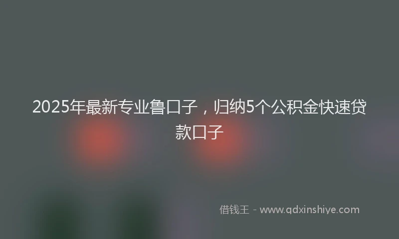 2025年最新专业鲁口子，归纳5个公积金快速贷款口子