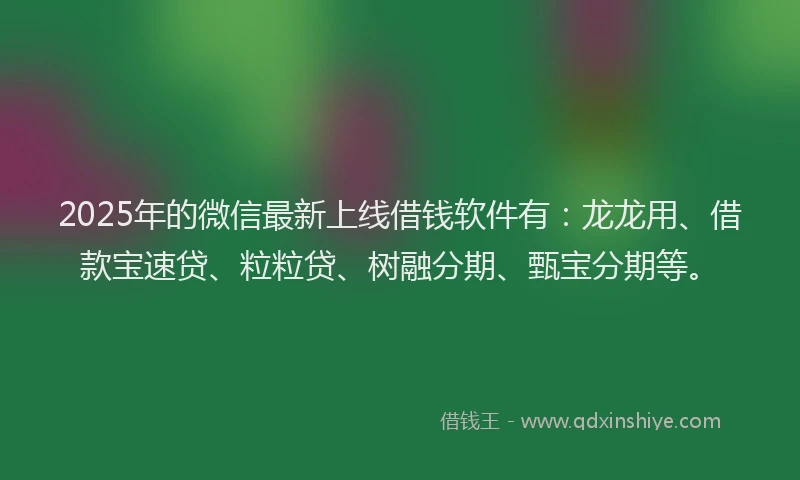 2025年的微信最新上线借钱软件有：龙龙用、借款宝速贷、粒粒贷、树融分期、甄宝分期等。
