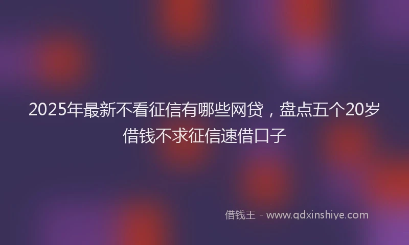 2025年最新不看征信有哪些网贷，盘点五个20岁借钱不求征信速借口子