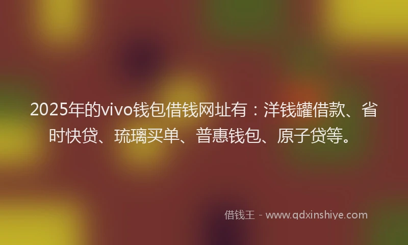 2025年的vivo钱包借钱网址有：洋钱罐借款、省时快贷、琉璃买单、普惠钱包、原子贷等。
