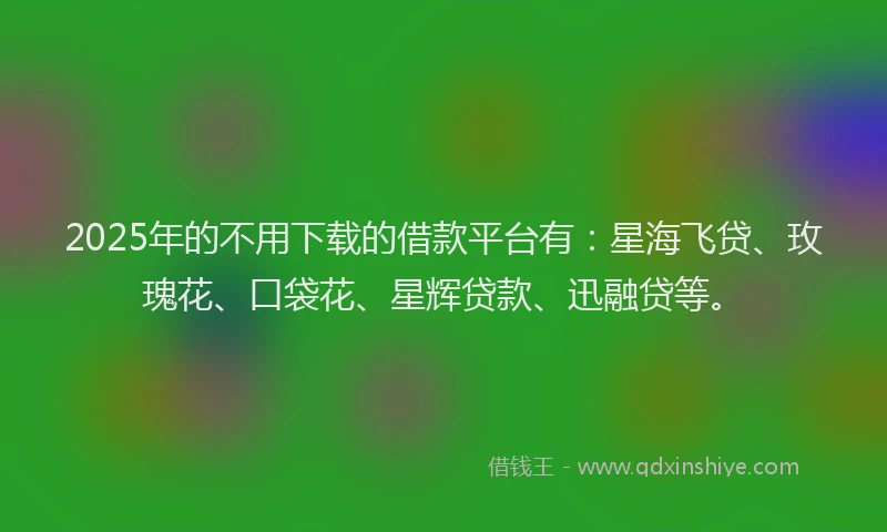 2025年的不用下载的借款平台有：星海飞贷、玫瑰花、口袋花、星辉贷款、迅融贷等。