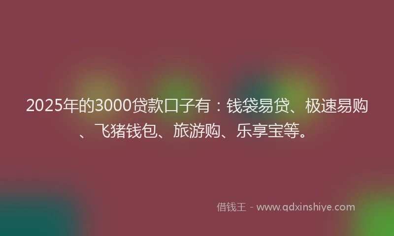 2025年的3000贷款口子有：钱袋易贷、极速易购、飞猪钱包、旅游购、乐享宝等。