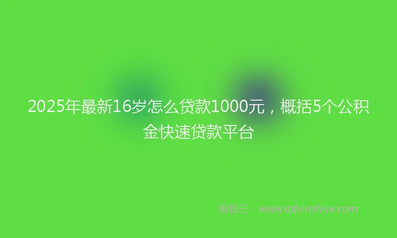 2025年最新16岁怎么贷款1000元，概括5个公积金快速贷款平台