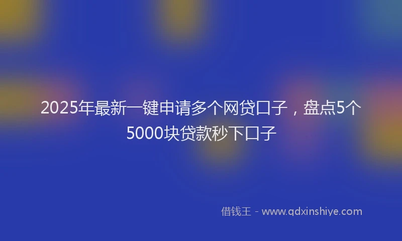 2025年最新一键申请多个网贷口子，盘点5个5000块贷款秒下口子
