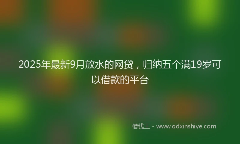 2025年最新9月放水的网贷，归纳五个满19岁可以借款的平台