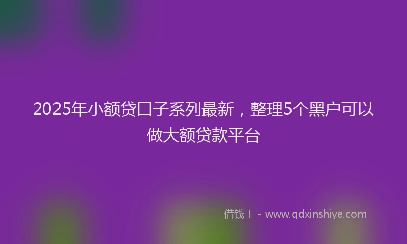 2025年小额贷口子系列最新，整理5个黑户可以做大额贷款平台