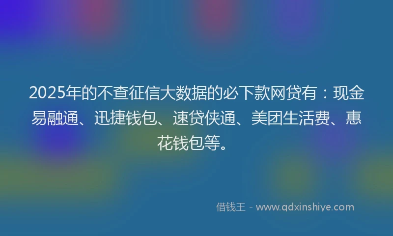 2025年的不查征信大数据的必下款网贷有：现金易融通、迅捷钱包、速贷侠通、美团生活费、惠花钱包等。
