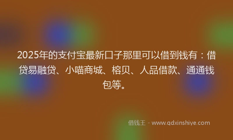 2025年的支付宝最新口子那里可以借到钱有：借贷易融贷、小喵商城、榕贝、人品借款、通通钱包等。