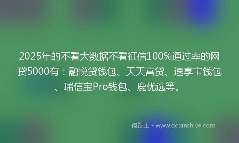 2025年的不看大数据不看征信100%通过率的网贷5000有：融悦贷钱包、天天富贷、速享宝钱包、瑞信宝Pro钱包、鹿优选等。