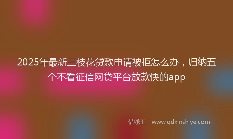 2025年最新三枝花贷款申请被拒怎么办，归纳五个不看征信网贷平台放款快的app