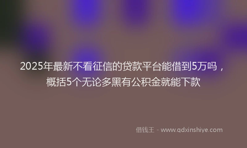 2025年最新不看征信的贷款平台能借到5万吗，概括5个无论多黑有公积金就能下款