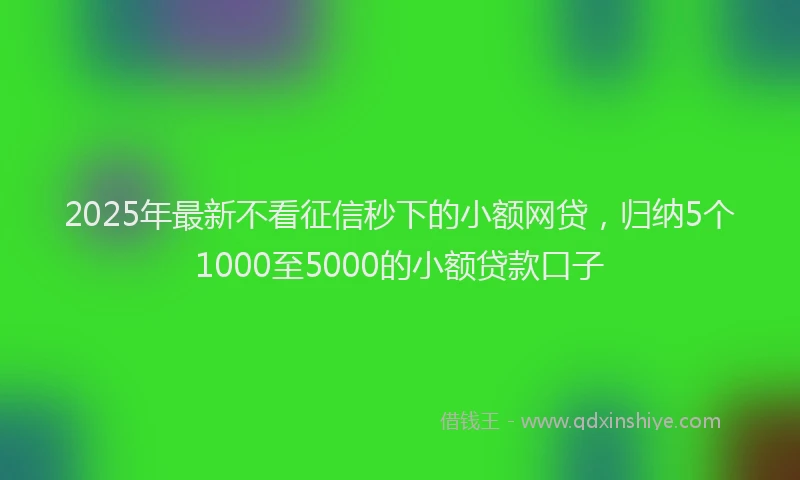2025年最新不看征信秒下的小额网贷，归纳5个1000至5000的小额贷款口子