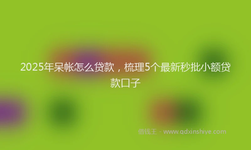 2025年呆帐怎么贷款，梳理5个最新秒批小额贷款口子