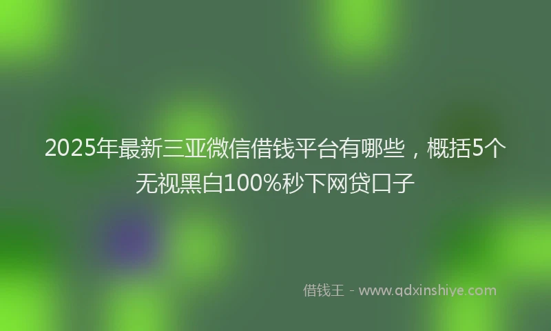 2025年最新三亚微信借钱平台有哪些，概括5个无视黑白100%秒下网贷口子