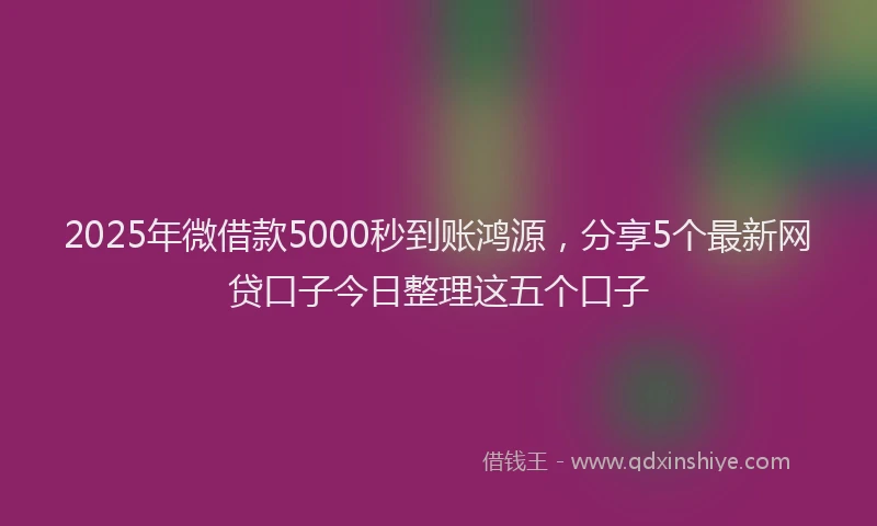 2025年微借款5000秒到账鸿源，分享5个最新网贷口子今日整理这五个口子