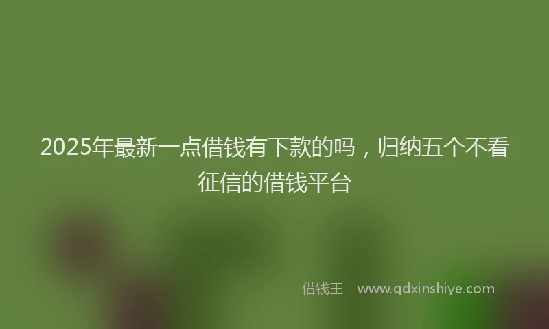 2025年最新一点借钱有下款的吗，归纳五个不看征信的借钱平台
