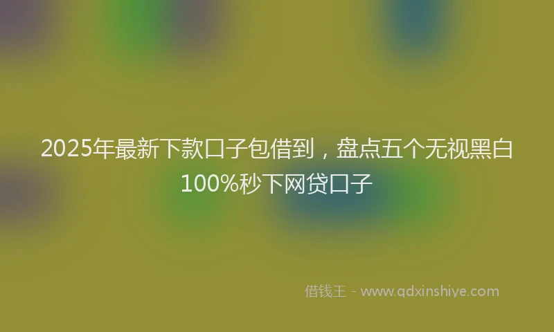 2025年最新下款口子包借到，盘点五个无视黑白100%秒下网贷口子