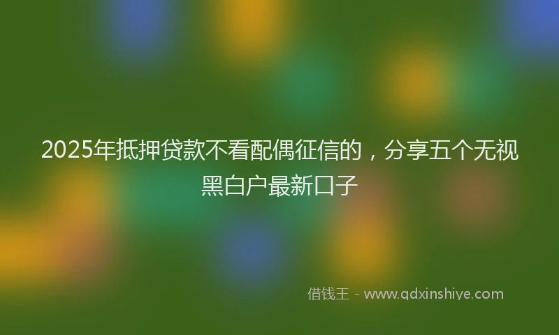 2025年抵押贷款不看配偶征信的，分享五个无视黑白户最新口子