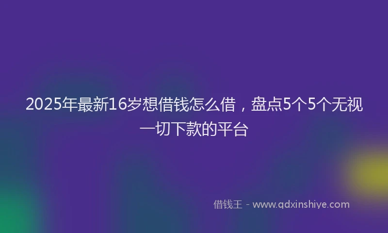 2025年最新16岁想借钱怎么借，盘点5个5个无视一切下款的平台