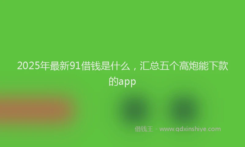 2025年最新91借钱是什么，汇总五个高炮能下款的app