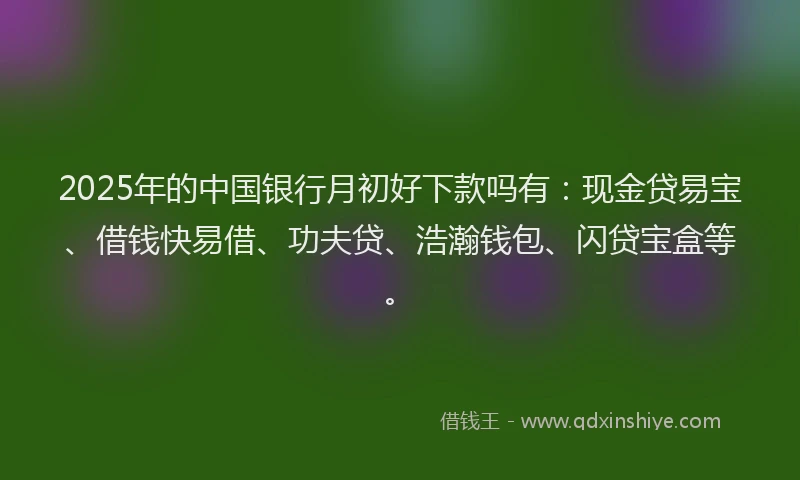 2025年的中国银行月初好下款吗有：现金贷易宝、借钱快易借、功夫贷、浩瀚钱包、闪贷宝盒等。