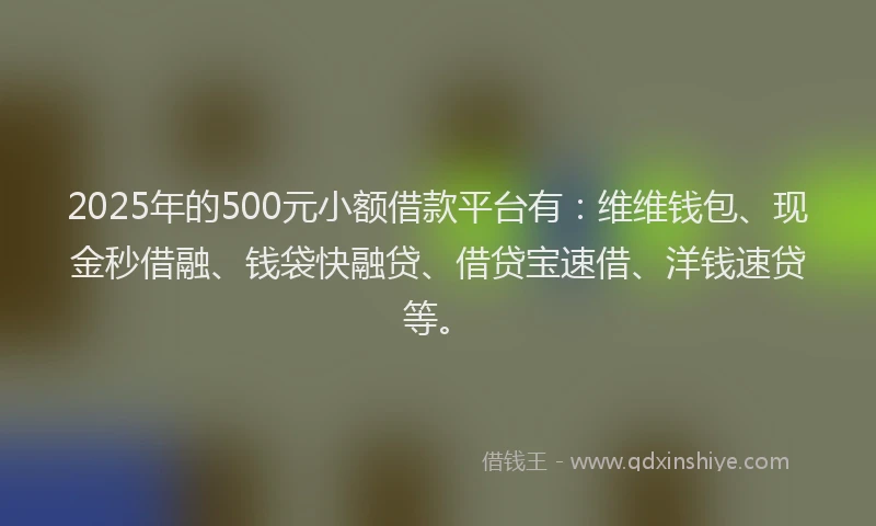 2025年的500元小额借款平台有：维维钱包、现金秒借融、钱袋快融贷、借贷宝速借、洋钱速贷等。