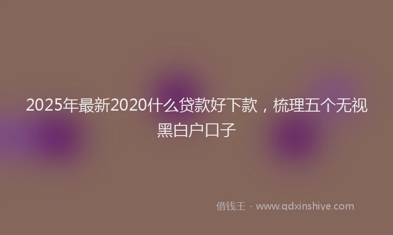 2025年最新2020什么贷款好下款，梳理五个无视黑白户口子