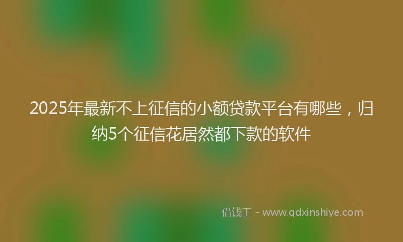 2025年最新不上征信的小额贷款平台有哪些，归纳5个征信花居然都下款的软件
