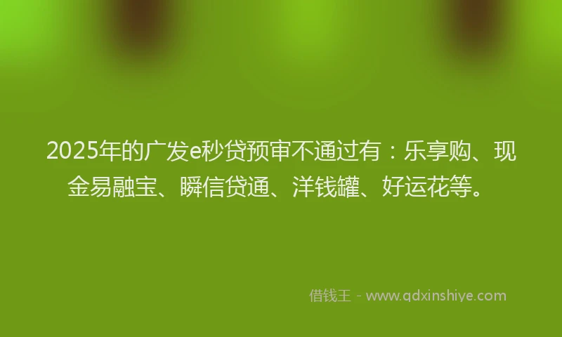 2025年的广发e秒贷预审不通过有：乐享购、现金易融宝、瞬信贷通、洋钱罐、好运花等。
