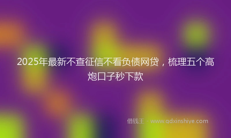 2025年最新不查征信不看负债网贷，梳理五个高炮口子秒下款