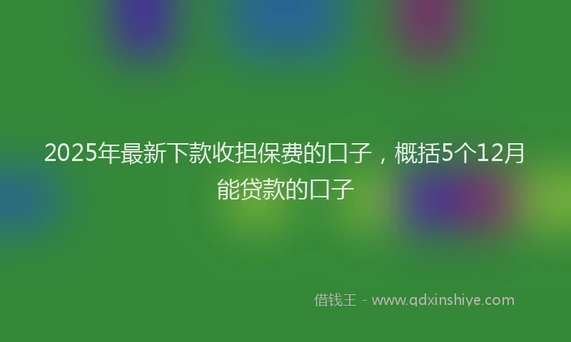 2025年最新下款收担保费的口子，概括5个12月能贷款的口子