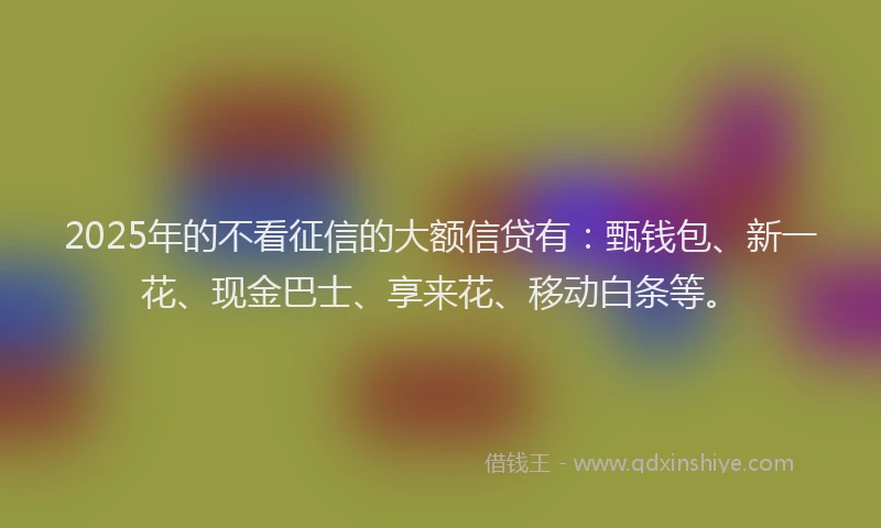 2025年的不看征信的大额信贷有：甄钱包、新一花、现金巴士、享来花、移动白条等。