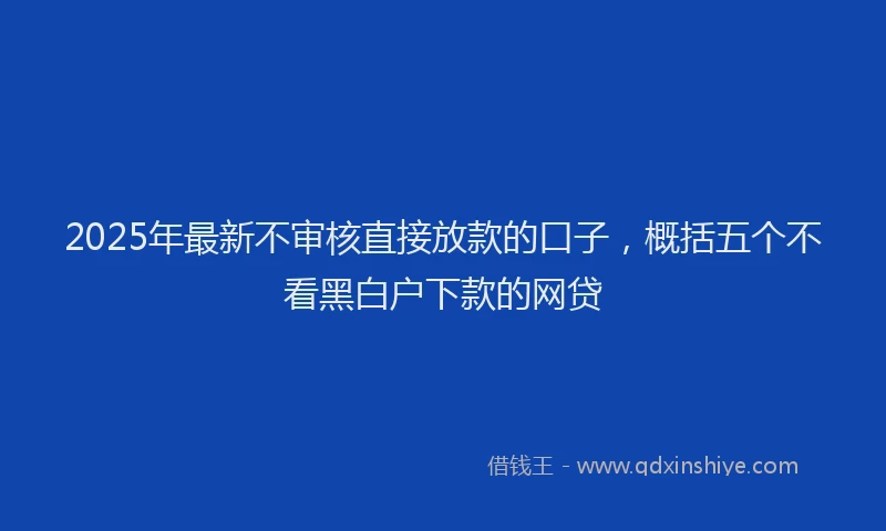 2025年最新不审核直接放款的口子，概括五个不看黑白户下款的网贷