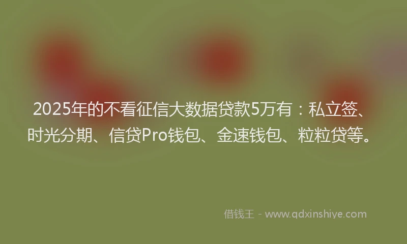 2025年的不看征信大数据贷款5万有：私立签、时光分期、信贷Pro钱包、金速钱包、粒粒贷等。
