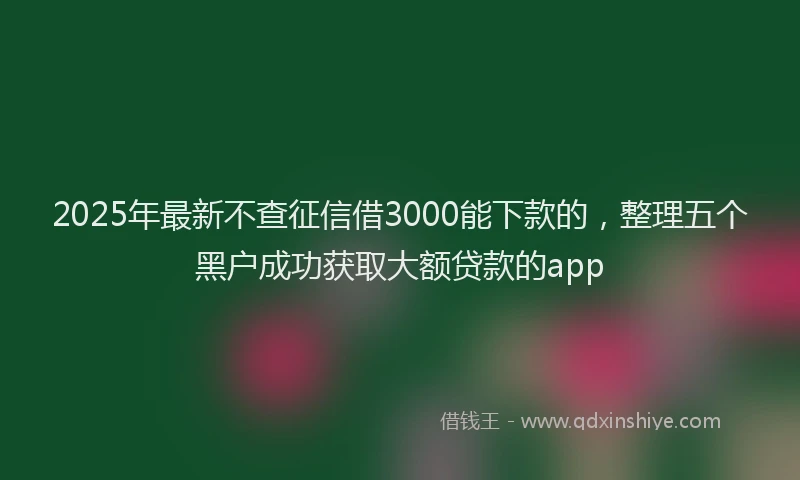2025年最新不查征信借3000能下款的，整理五个黑户成功获取大额贷款的app