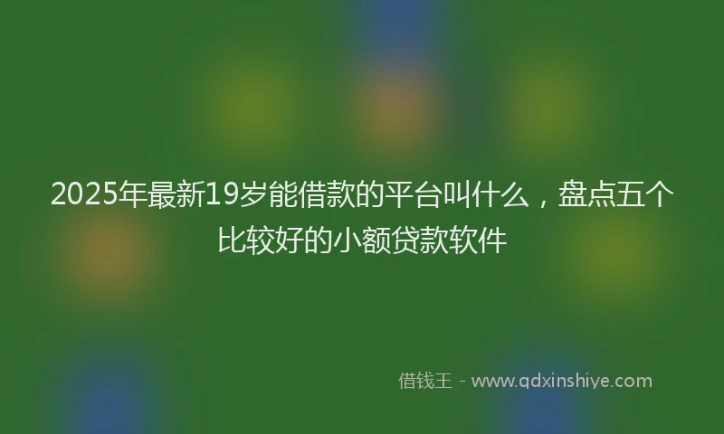 2025年最新19岁能借款的平台叫什么，盘点五个比较好的小额贷款软件