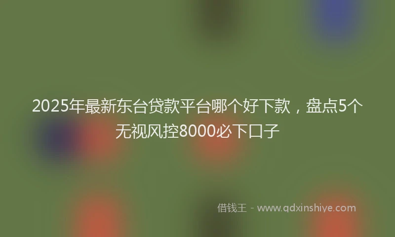 2025年最新东台贷款平台哪个好下款，盘点5个无视风控8000必下口子