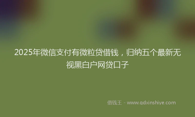 2025年微信支付有微粒贷借钱，归纳五个最新无视黑白户网贷口子