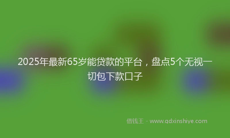 2025年最新65岁能贷款的平台，盘点5个无视一切包下款口子