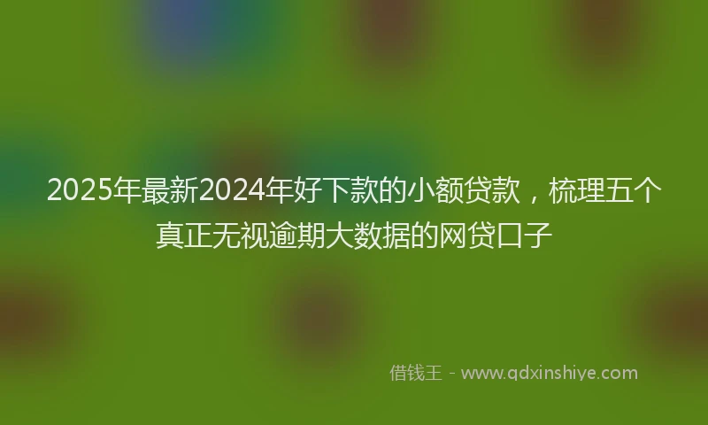 2025年最新2024年好下款的小额贷款，梳理五个真正无视逾期大数据的网贷口子