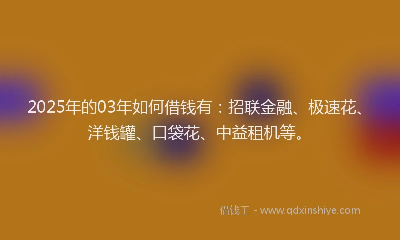2025年的03年如何借钱有：招联金融、极速花、洋钱罐、口袋花、中益租机等。